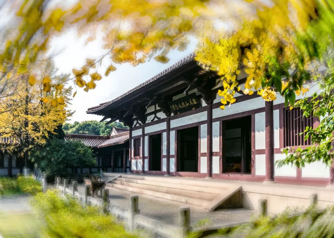 港城历史,港城发展历程