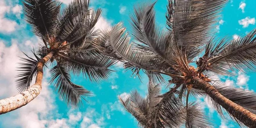 大学生的血泪控诉:不要再叫我搬寝室了