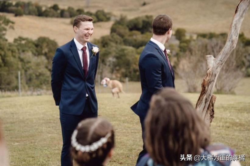 狗狗在主人婚礼上“拉粑粑”,非但没把事搞砸,还让氛围更温馨了