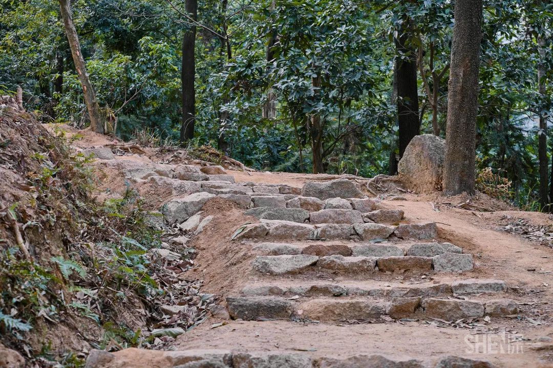 深圳卖衣服的商场,深圳的商场有哪些