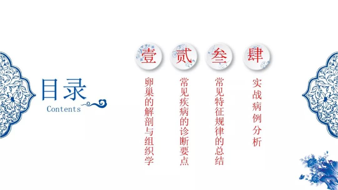 卵巢原发肿瘤的分析思路