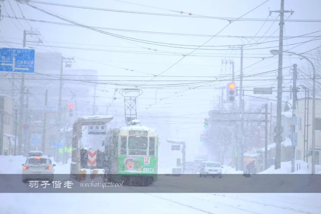 日本10天自由行费用北海道,东京北海道5日自由行攻略