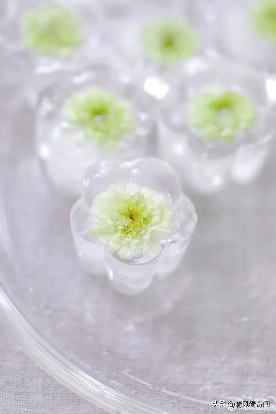 冻冰花美篇,冻冰花的美篇