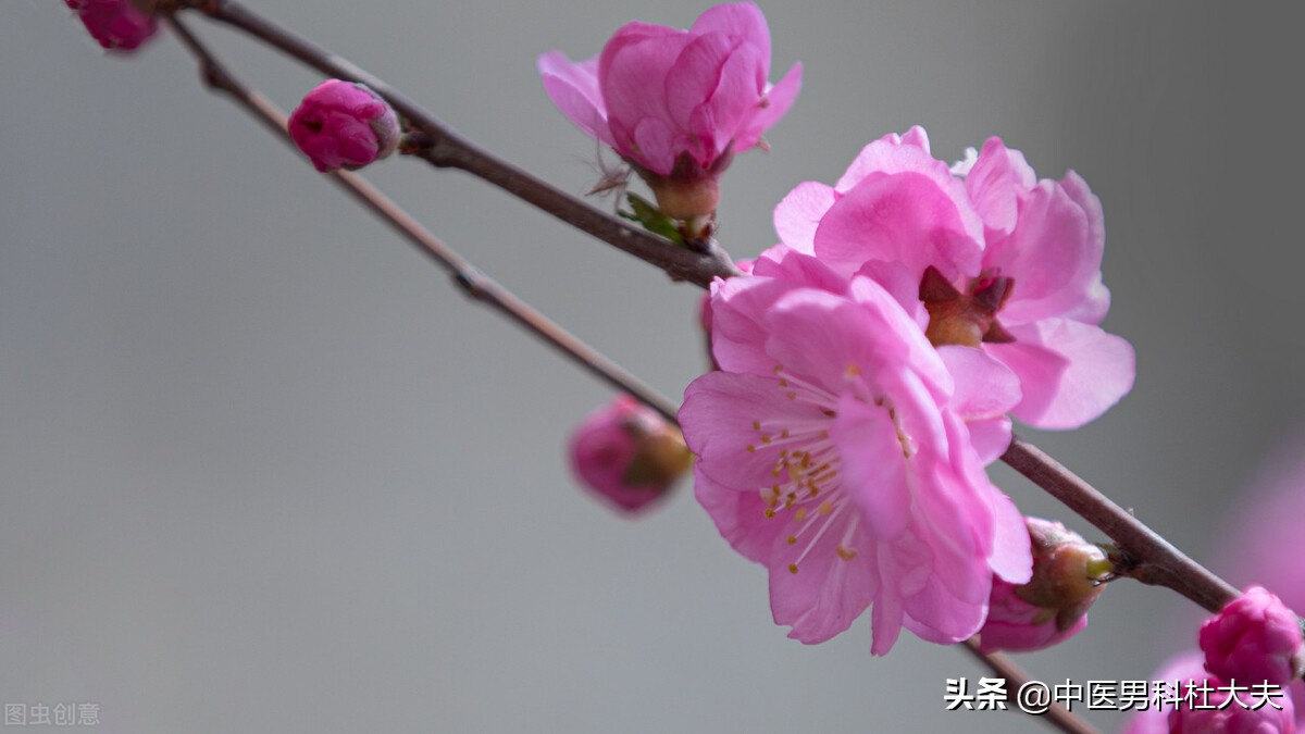 肾虚怕冷失眠盗汗脚心出汗,畏寒怕冷燥热盗汗什么原因