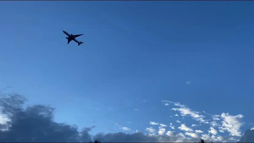 上海哪个地方能看到真正的大海,上海最近景色最好的大海