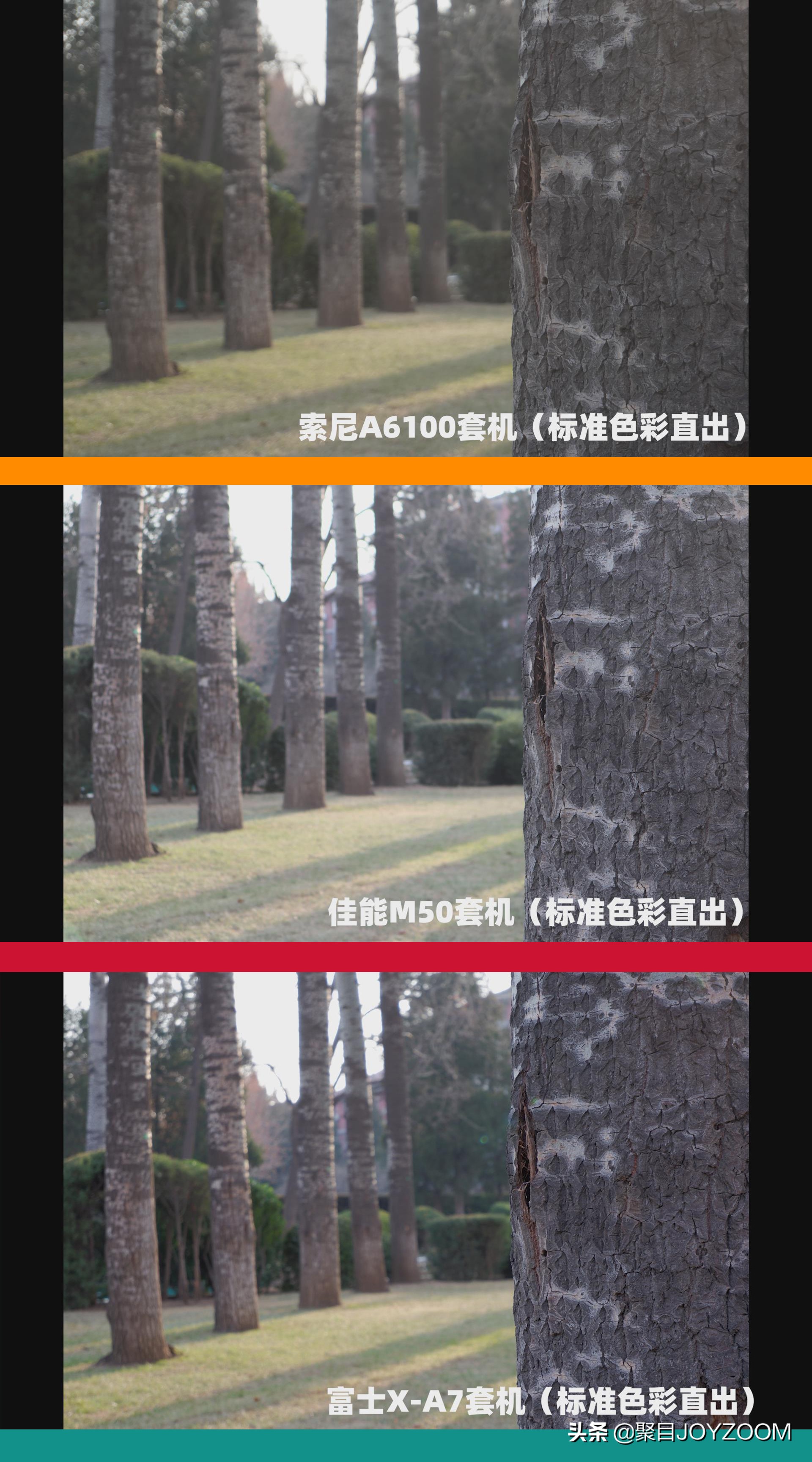 介绍一款aps-c画幅单反相机,新手值得买apsc画幅的相机吗