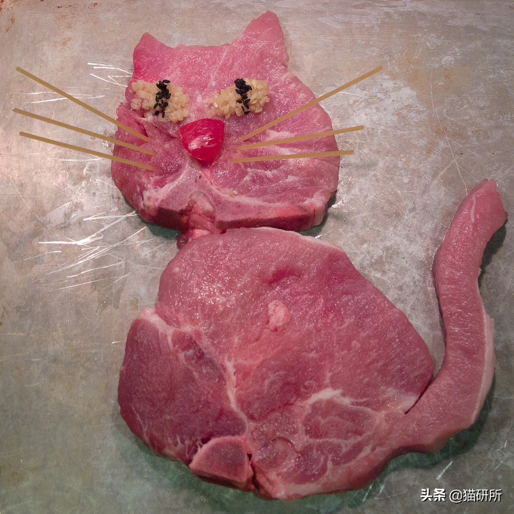 猫咪可以吃猪肉猫粮吗,养猫的你要知道猫咪不能只吃干粮