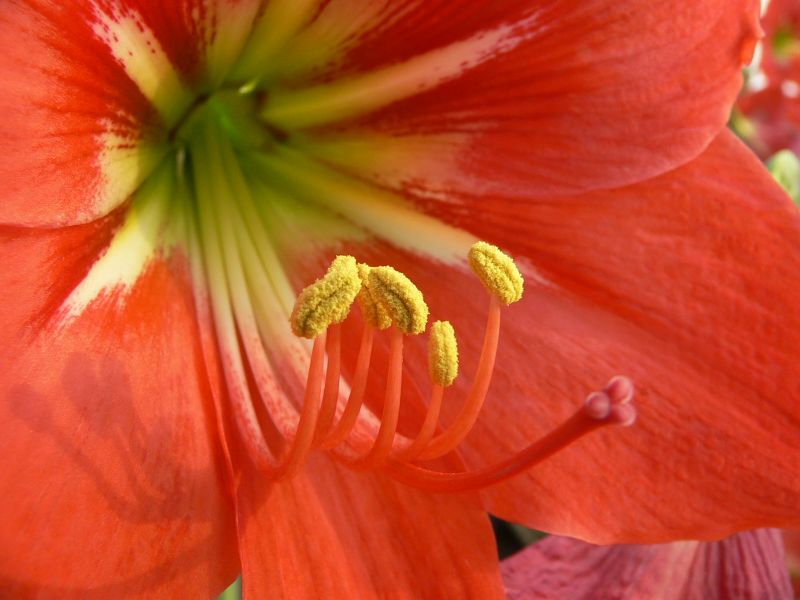 一个摄影爱好者的所有器材,摄影器材的终极之路