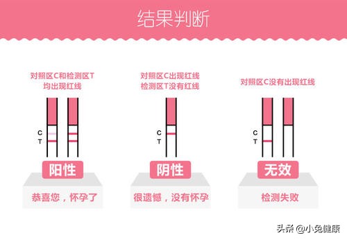 找准排卵期高效备孕,备孕排卵期安排几次