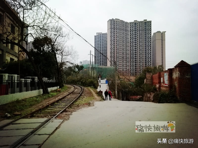 自贡桃花山学校,2014年自贡市桃花山学校