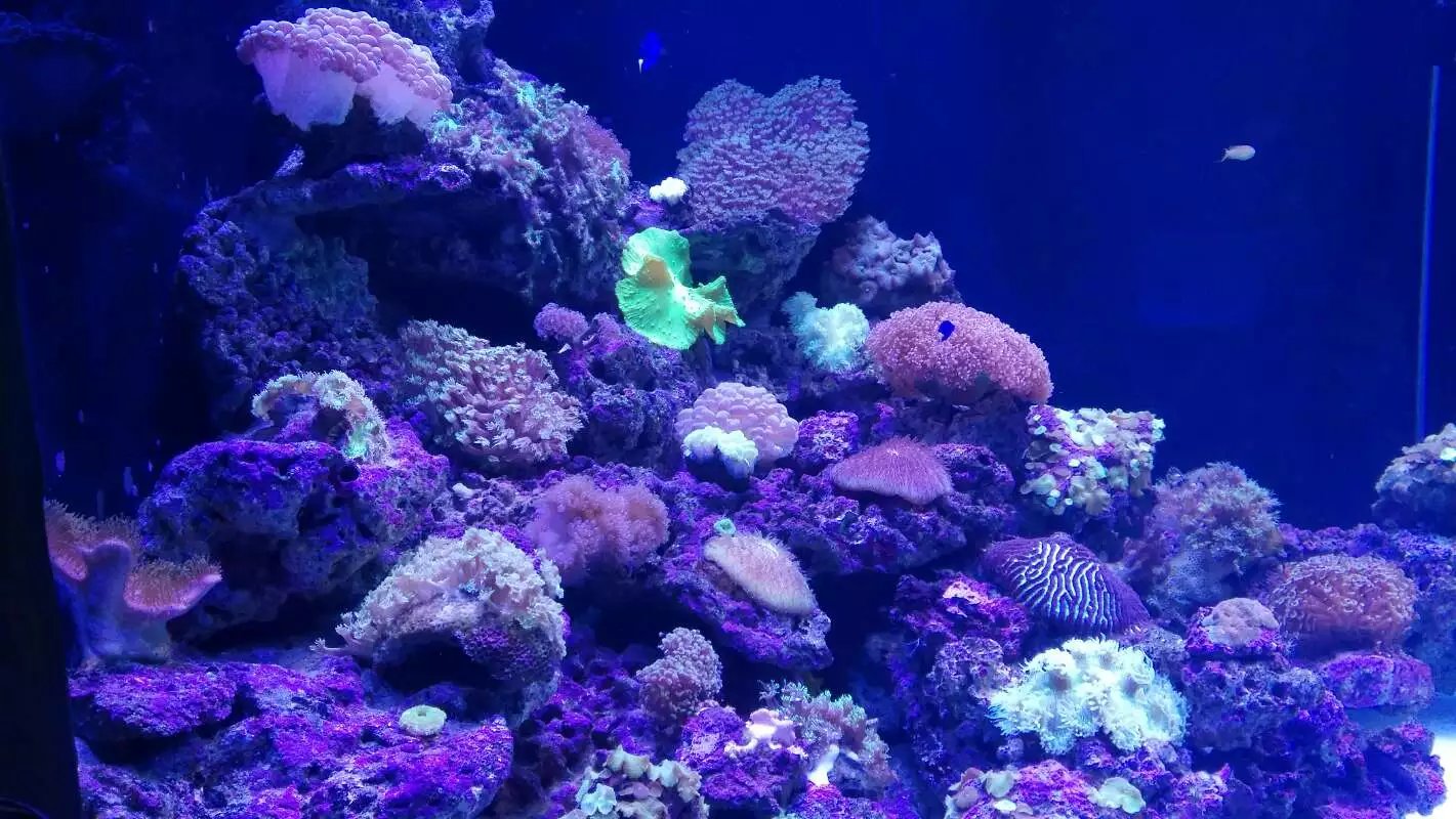 天津市内旅游攻略推荐,天津市区游玩攻略自由行攻略