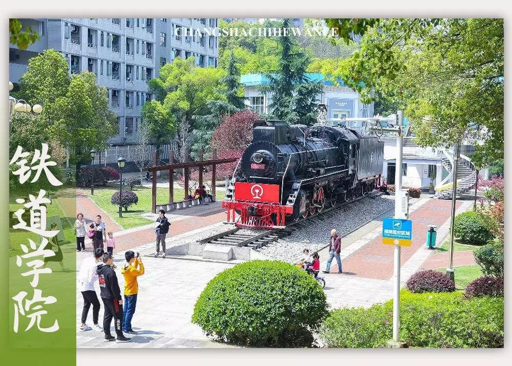 母校我想你,想你母校