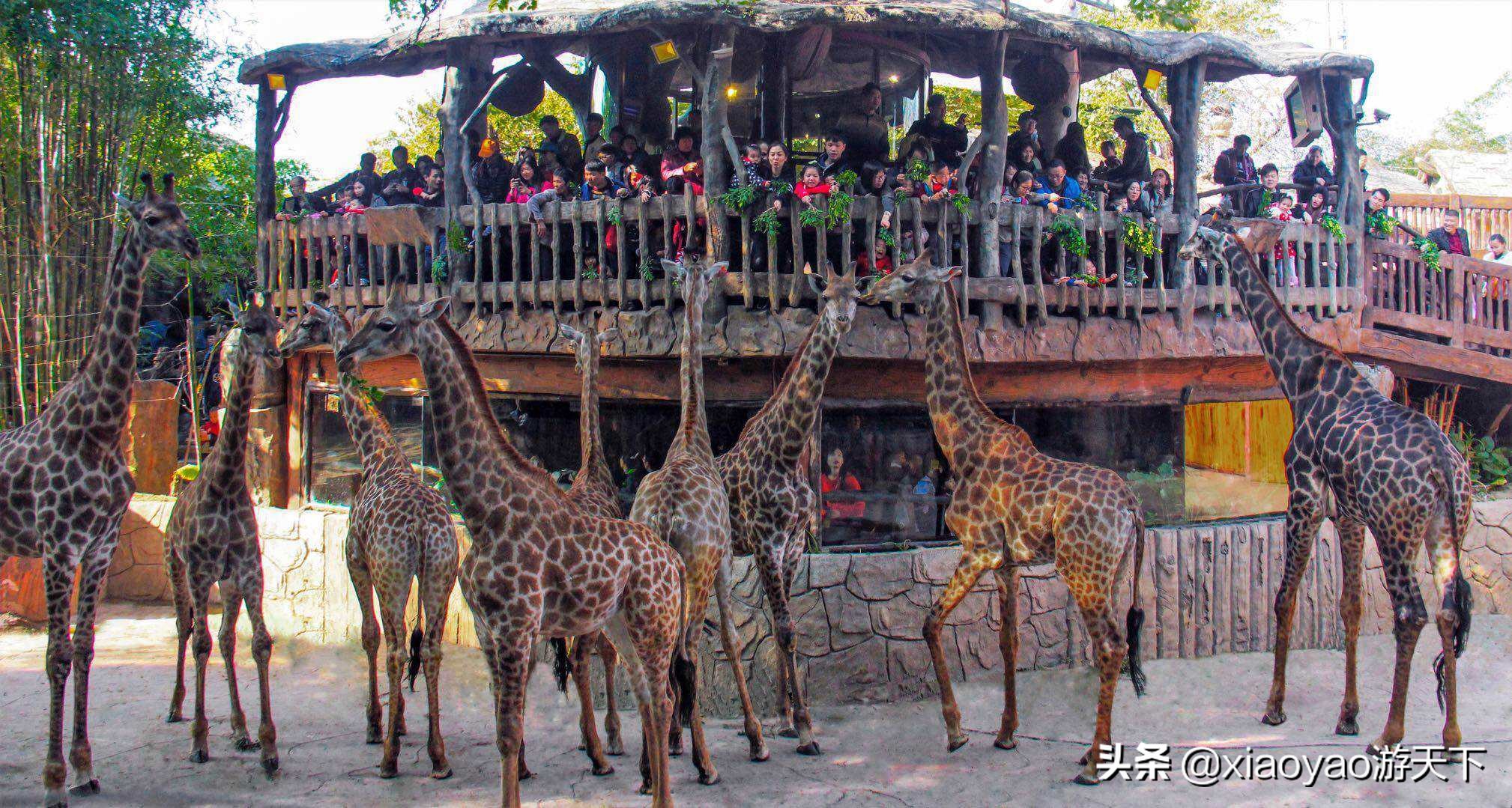 广东佛山西樵山旅游区门票多少,全省104家a级旅游景区全部免票