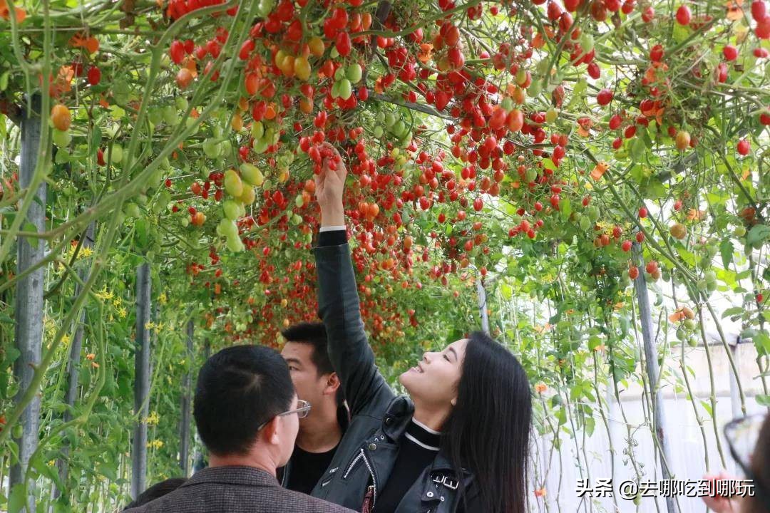 69.9抢惠州罗浮山漂流门票89元抢漂流门票+空中田园