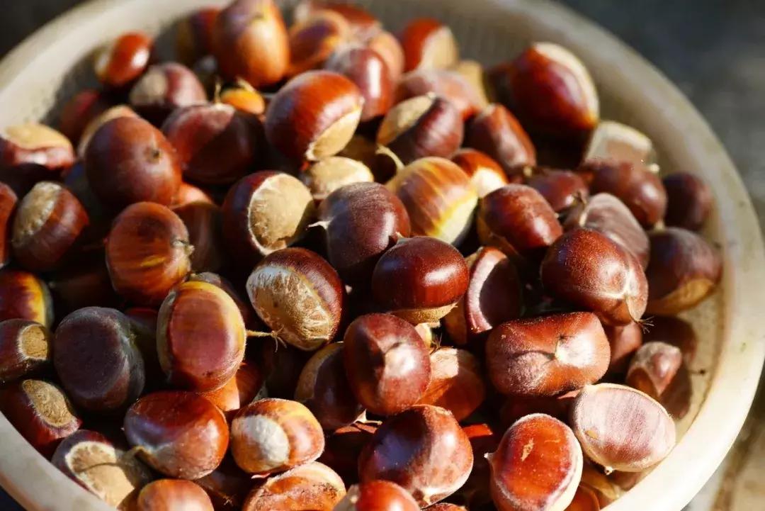 栗子健脾胃,栗子益气健脾吃法