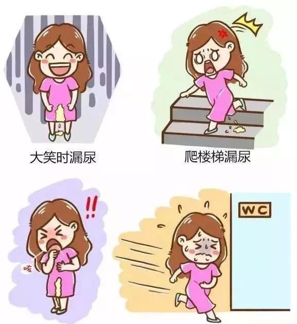 肛门里有“一坨肉”脱出来了。