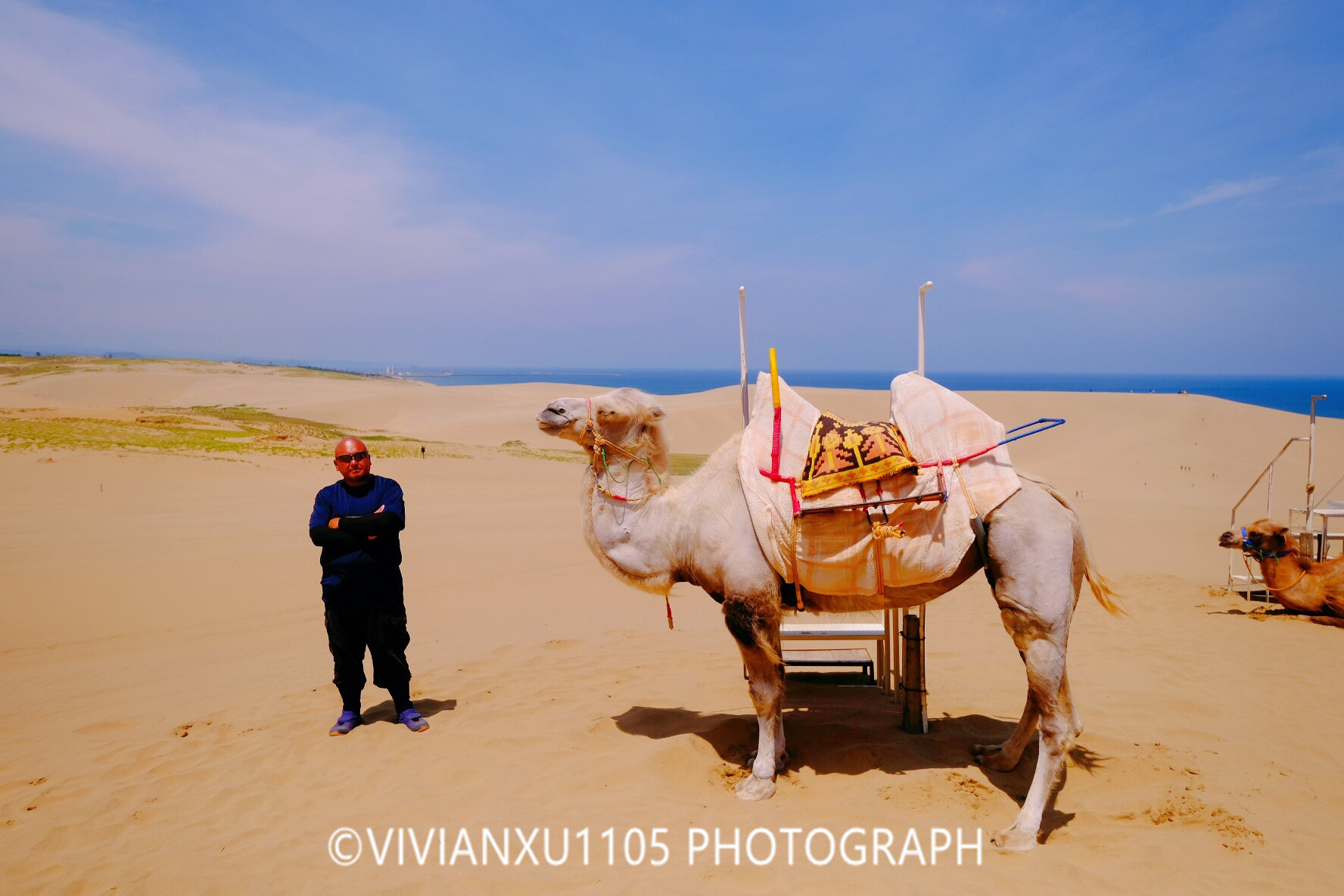 冈山和岛根,发现不一样的风景