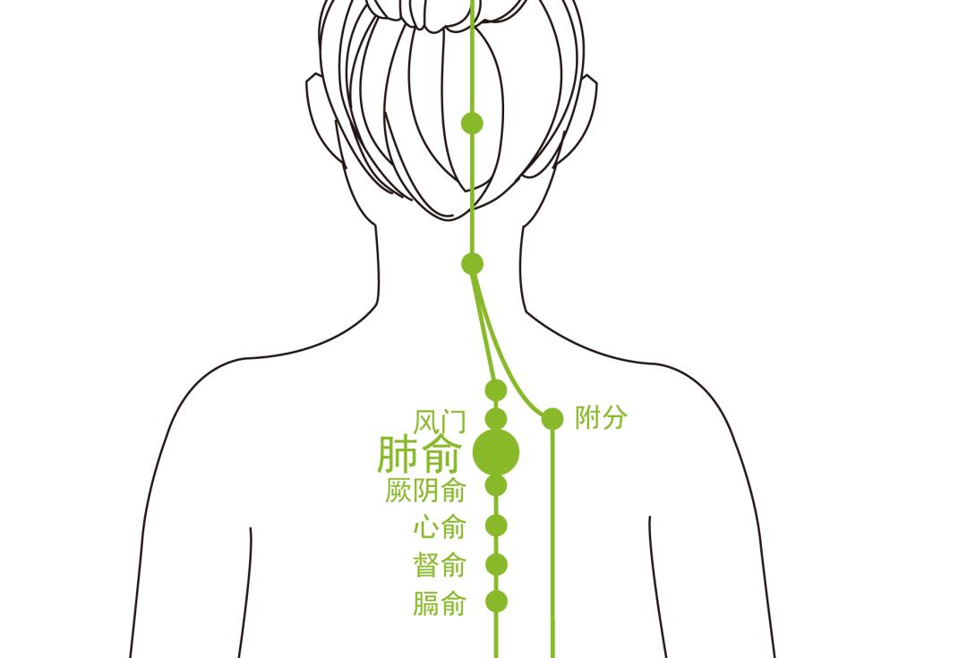 夏天中暑吃什么好消化,夏天中暑和肠胃有关系吗