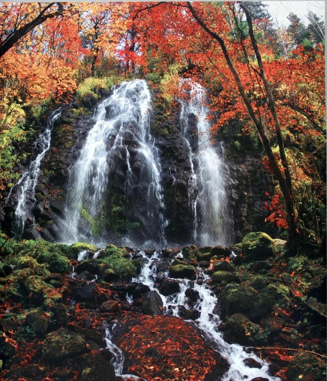 假期逛景区一大波优惠等着您,景点优惠活动视频