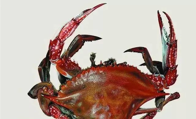 冷军画桃子图片大全,冷军画桃子放大5倍