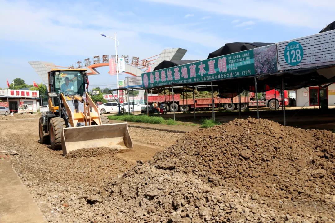 中国沭阳国际花木城在哪个城市,沭阳花木城的发展