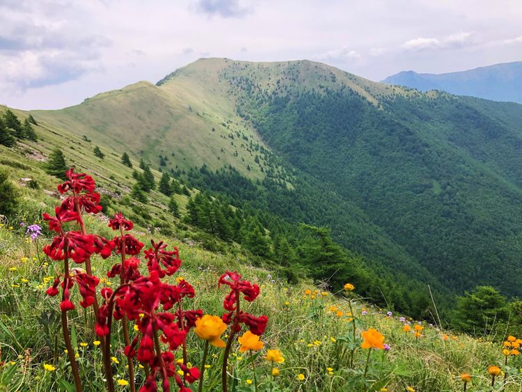 小五台山哪里进入景区,小五台山春天景色