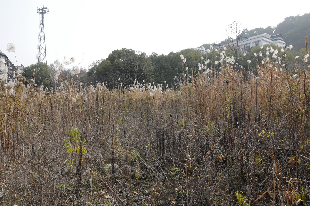 武汉轻型汽车制造厂,武汉特种车制造厂