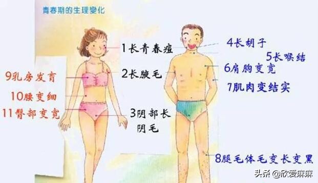 如何正确给孩子进行性教育,如何正确引导青春期孩子性教育