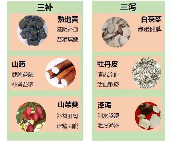 知柏杞菊地黄丸功效大全,六味知柏杞菊地黄丸的功效与作用