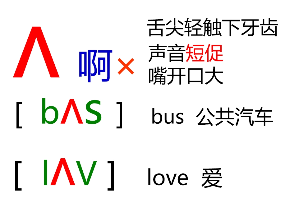 48个音标全套卡片作用,英语音标卡片48个正确发音嘴型