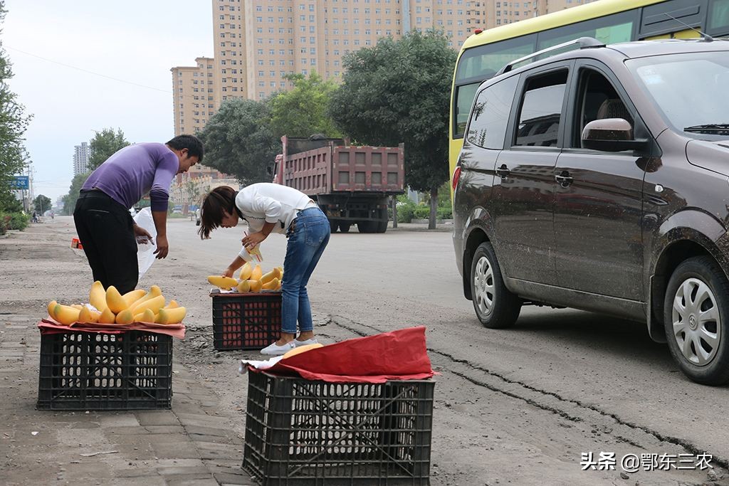 不见兔子不撒鹰的幽默句子,不见兔子也不撒鹰歇后语
