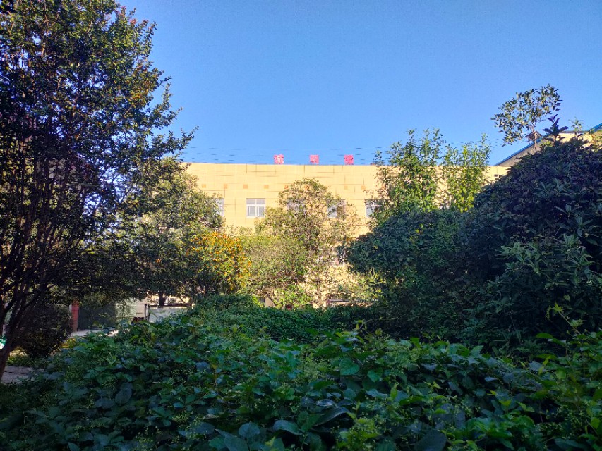 长杨中学官网,长杨中学