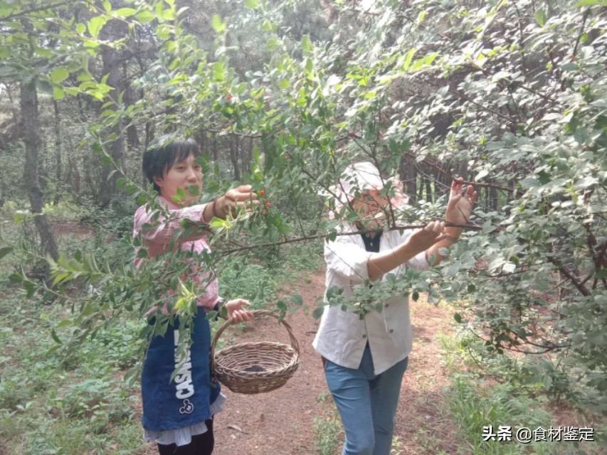 沈阳周边自然风光一日游的地方,沈阳隐秘的地方