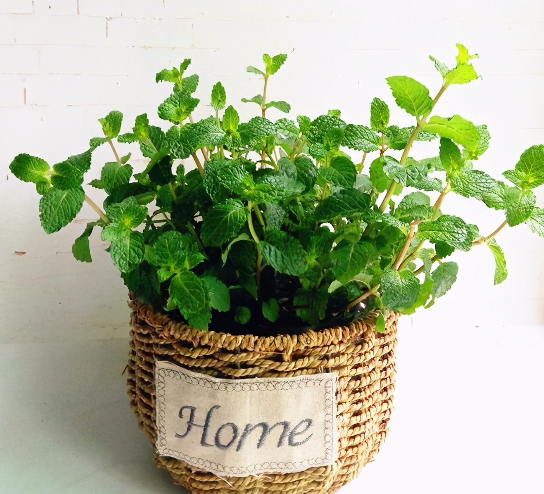 钖勮嵎濡備綍闃叉绐滈珮,鍐閬垮厤钖勮嵎寰掗暱