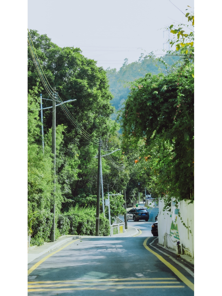 深圳皇岗拍照,深圳湾红树林公园拍照姿势