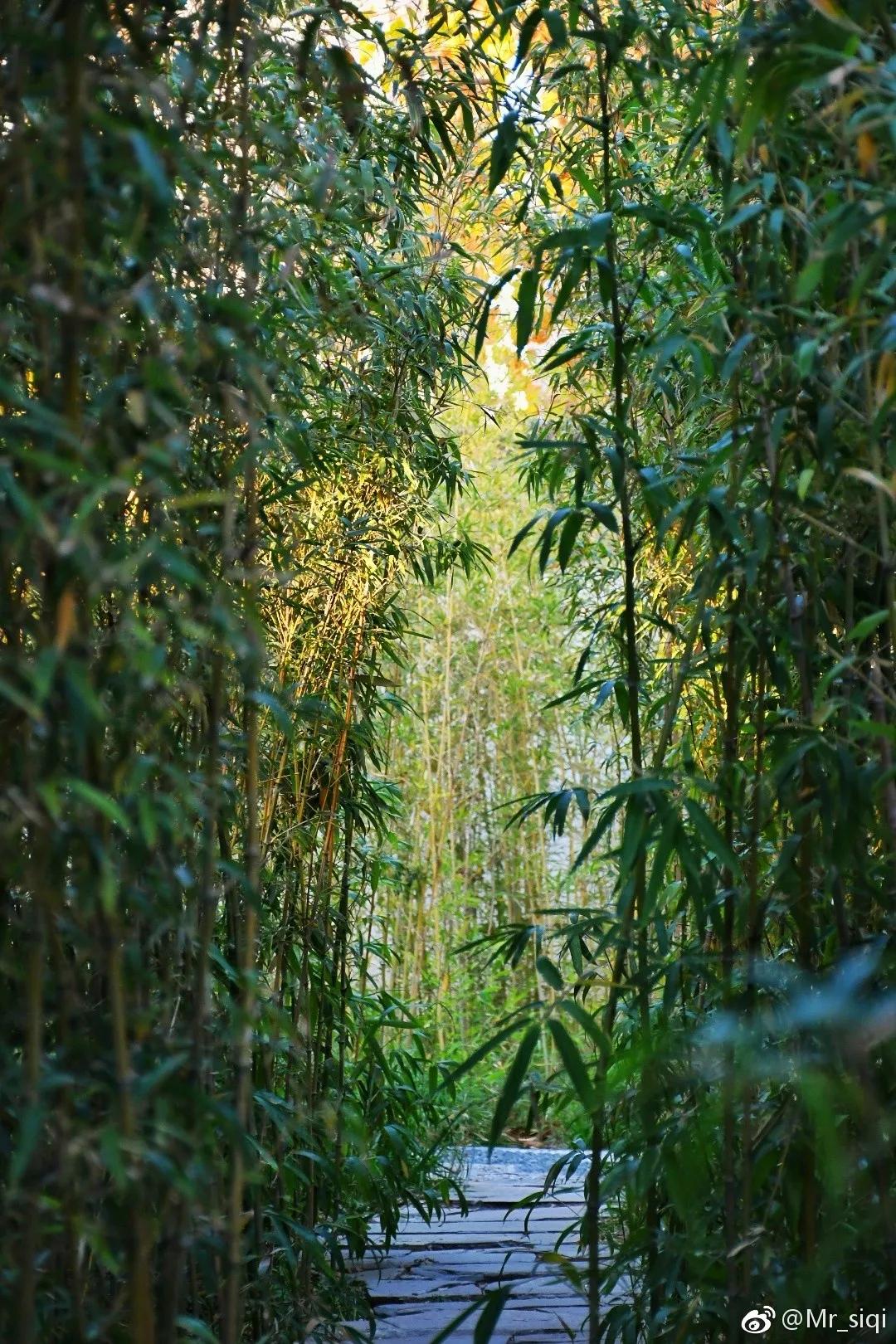天津十大自然风景区,天津九山顶自然风景区赏秋