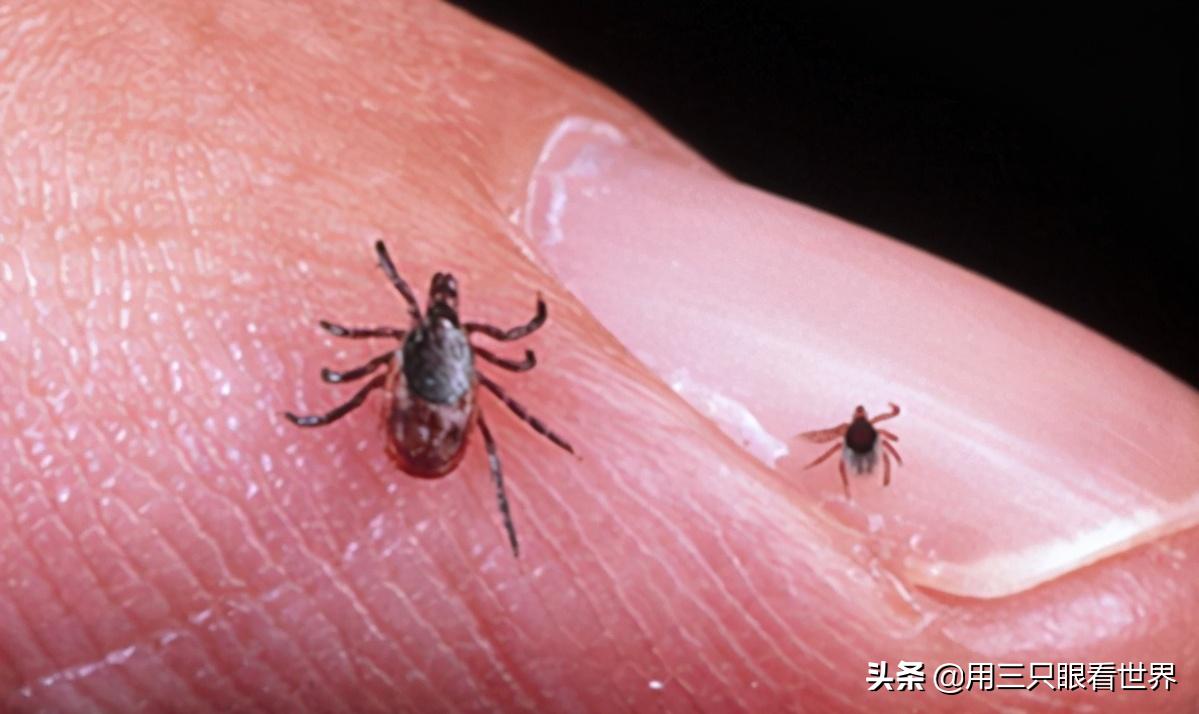 知青难忘的岁月,知青难忘的回忆故事