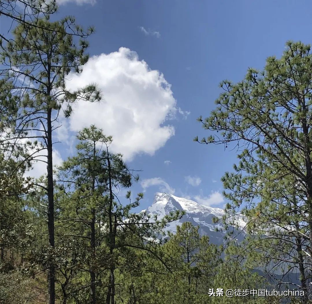 给我一个机会去爱你,给我一个机会让我去爱你