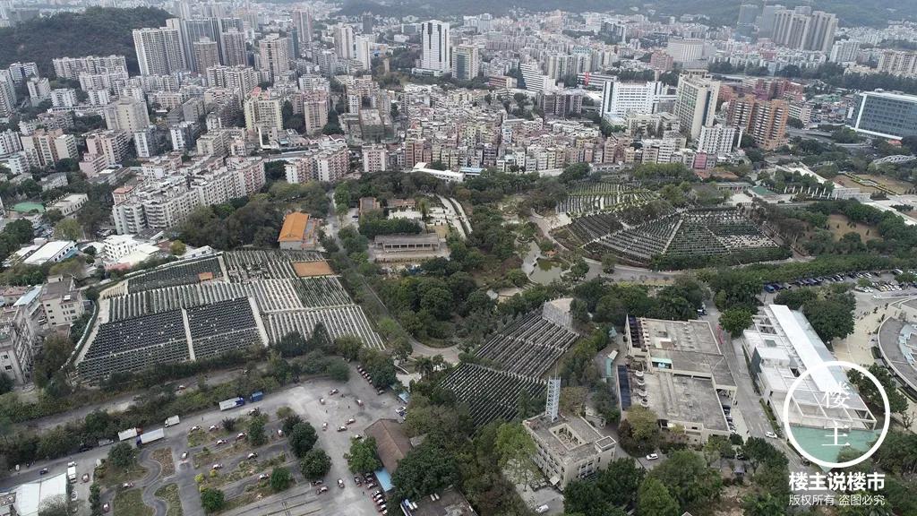 五山：书香之地一片乐土