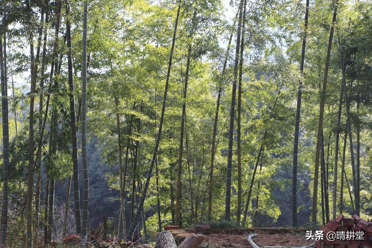 赣州峰山附近一日游自驾游景点,赣州峰山美景