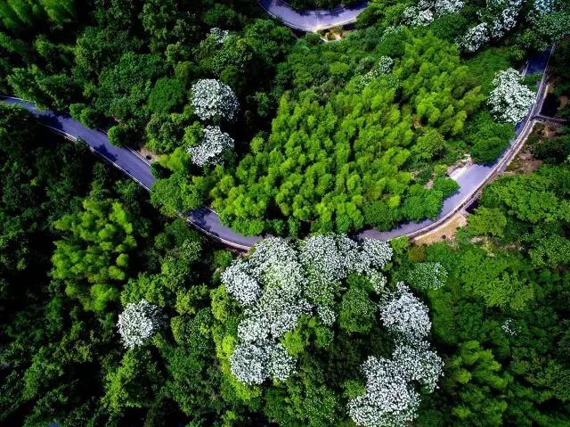 温州值得骑行打卡的地方,温州有哪些骑行的好地方