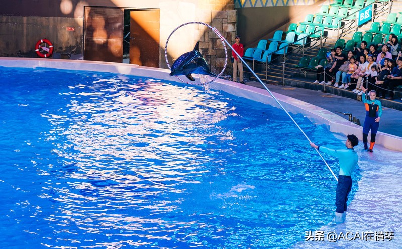 吃喝玩乐in珠海,珠海吃喝玩乐一体的地方