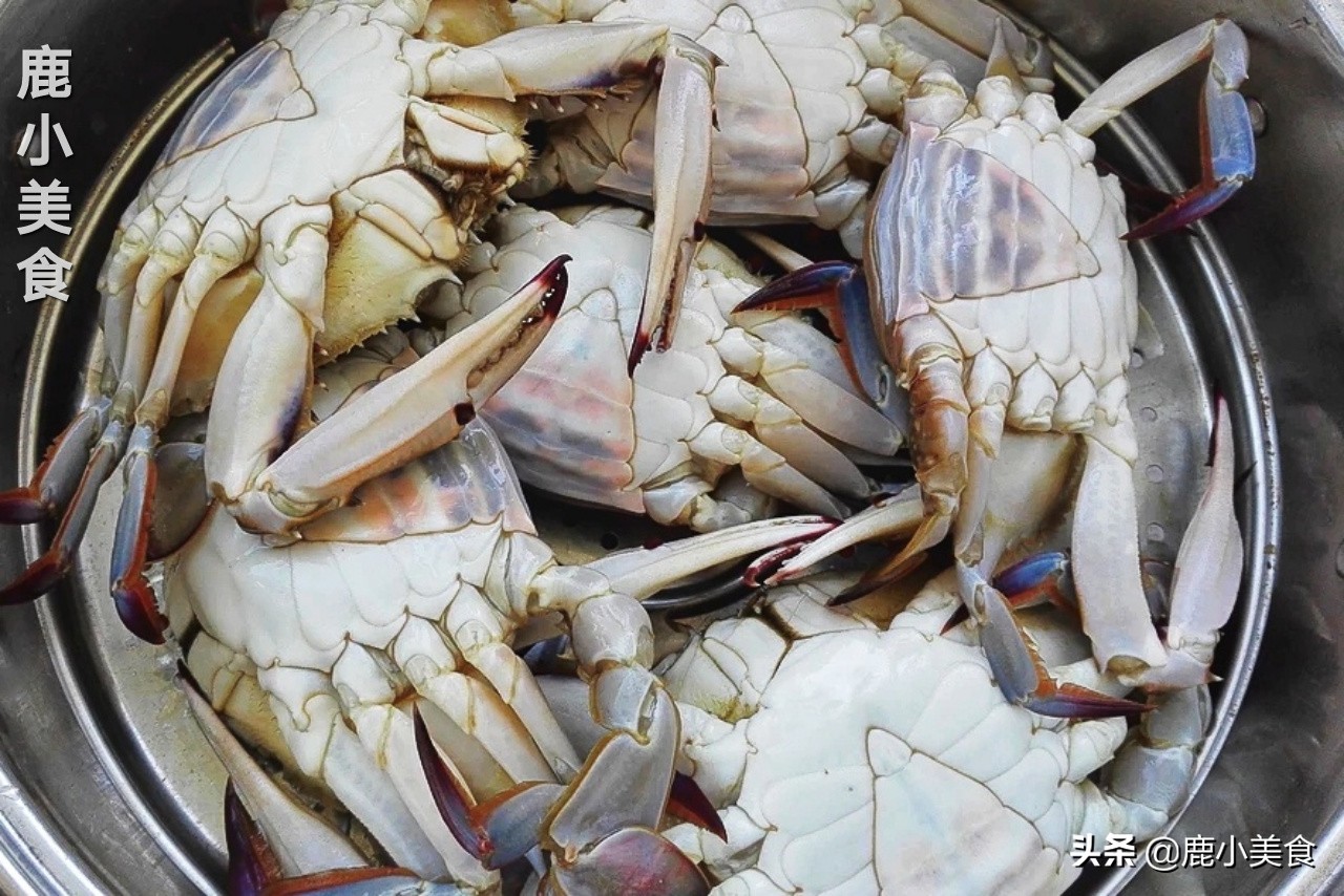 梭子蟹不肥怎么办,梭子蟹不挑黄色的