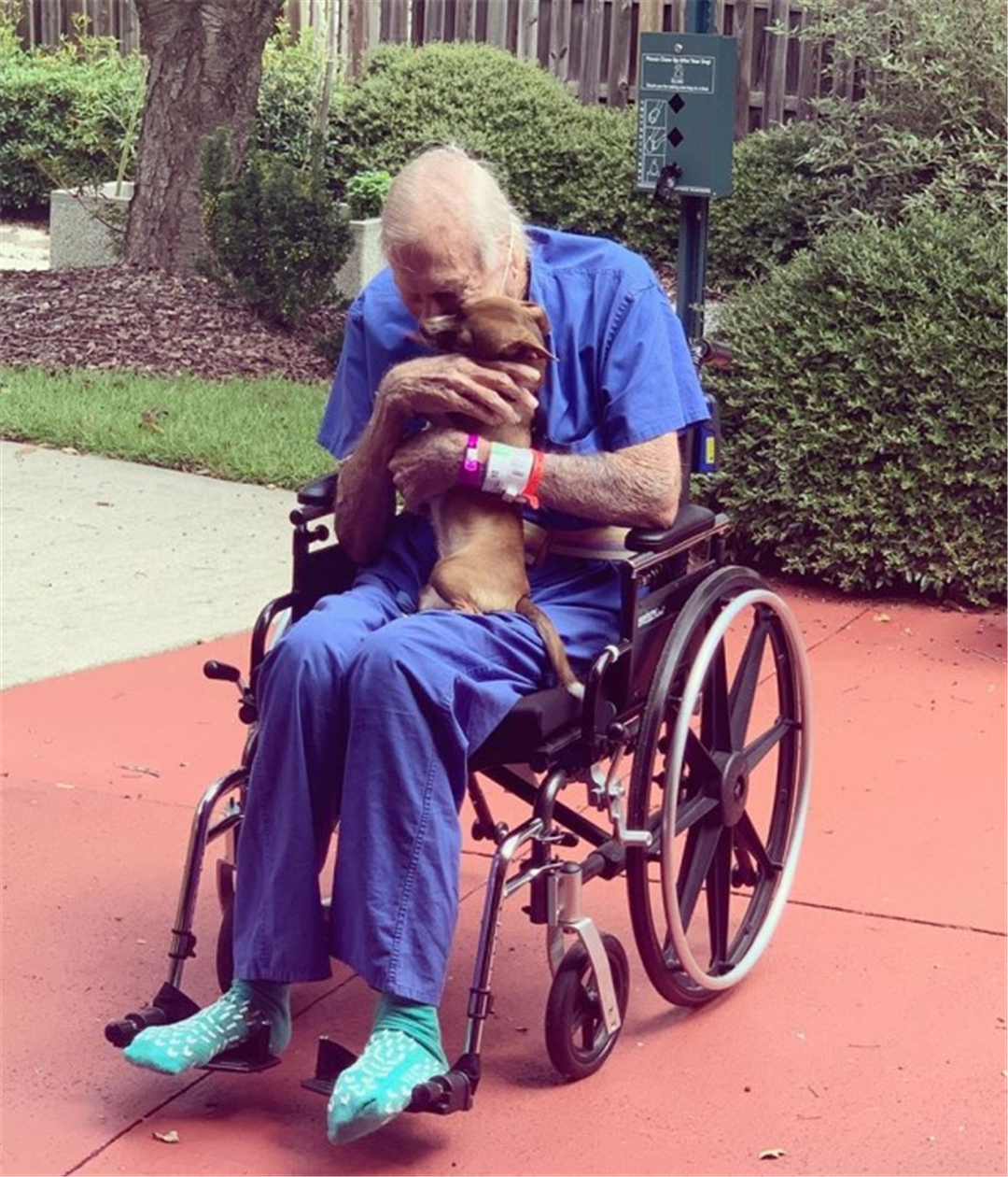 七旬老人突发疾病及时获救,吉娃娃生病了全集