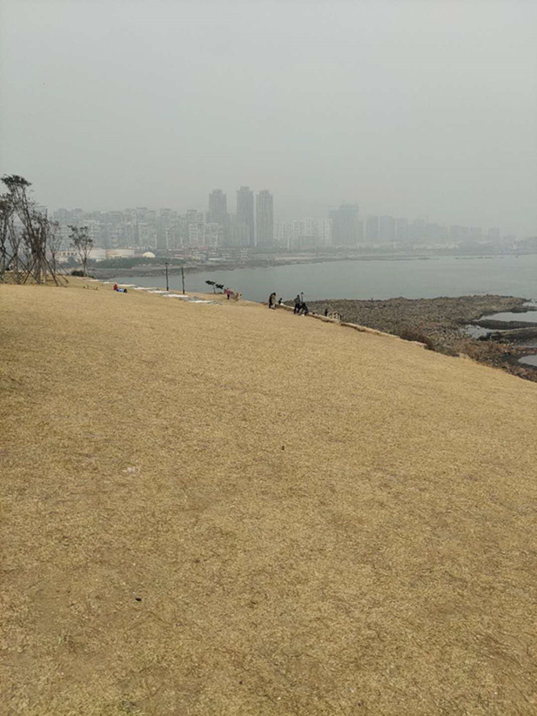 青岛网红景点,青岛新晋网红景点你来打卡了吗