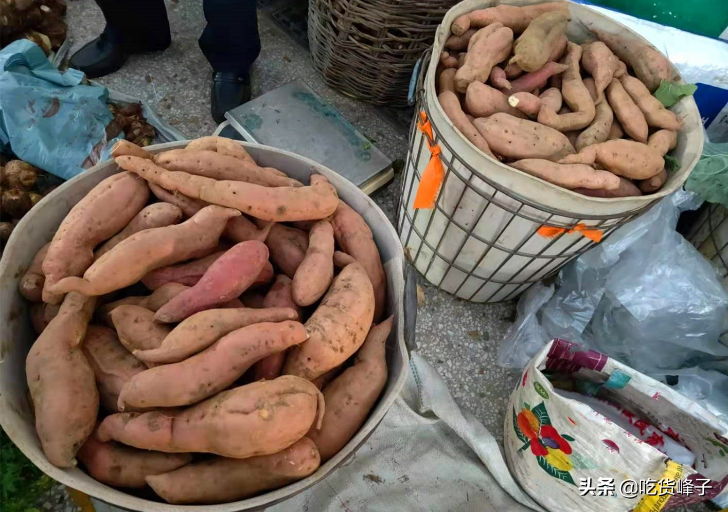 红薯如何保存才不会烂不会发芽,自家种的红薯太多了怎么保存过冬