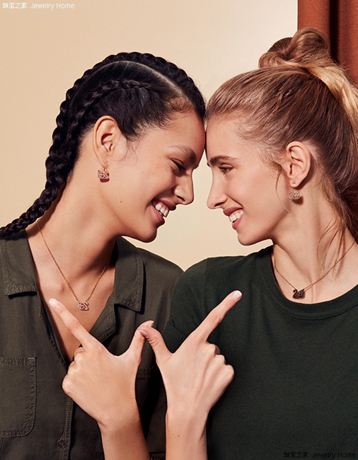 整箱梵克雅宝胸针,梵克雅宝胸针基本款