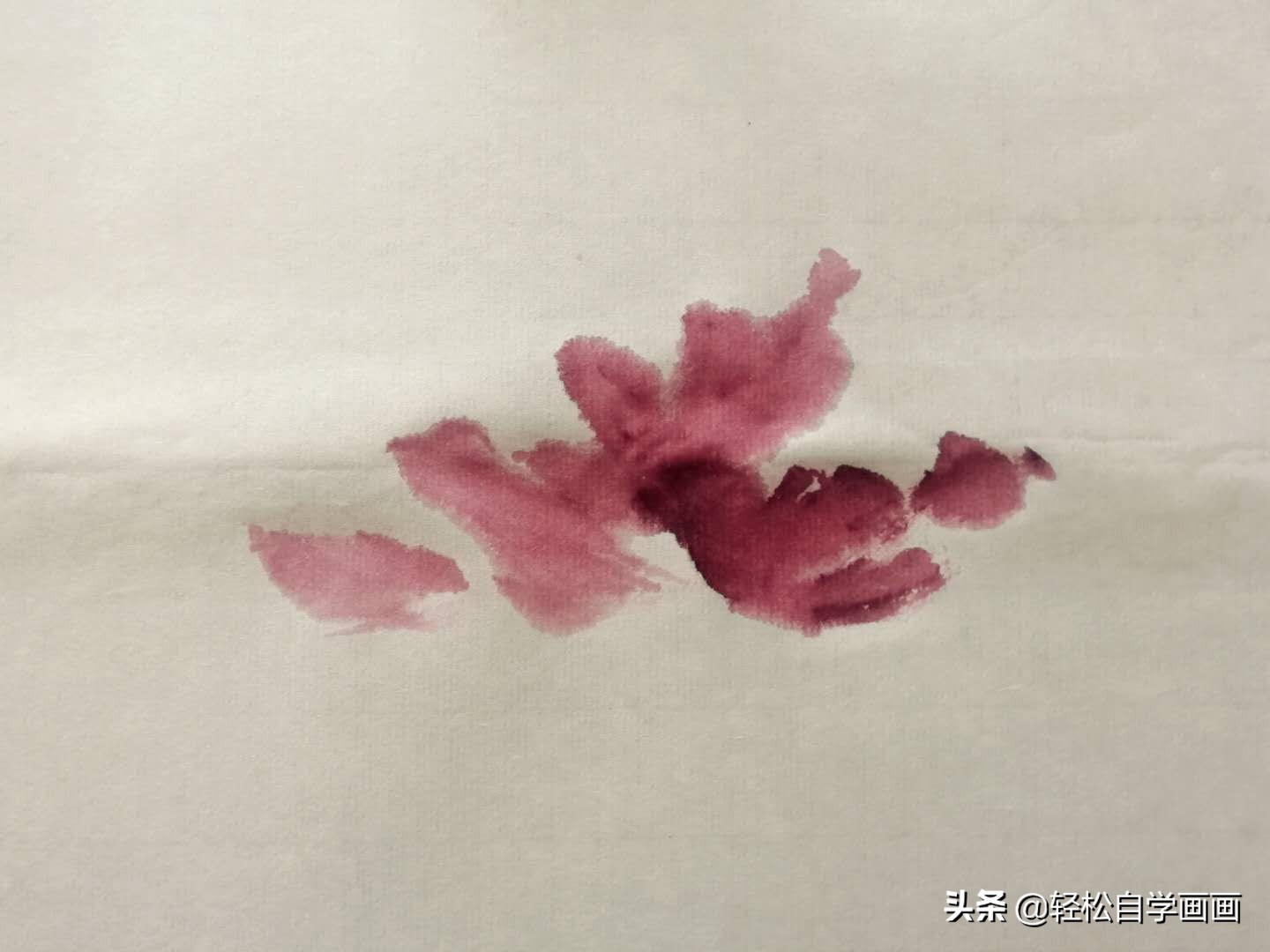 画牡丹如何加色能出层次,画牡丹调色运笔