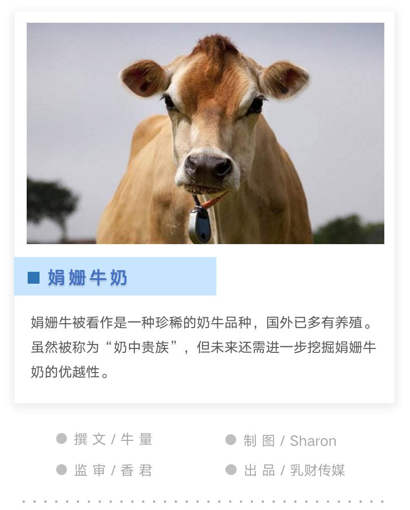 娟姗牛奶的“优越性”需深度挖掘