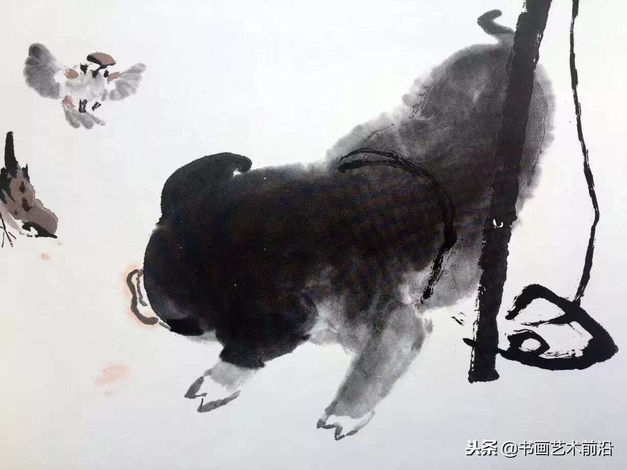 属猪的人2019年11月份运程怎么样,2019年属猪人运势免费